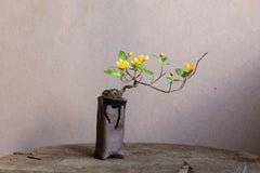 Single-flowered Japanese kerria by Yumiko Kuwahata / Bonsai / wabi-sabi