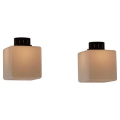 Single Flushmount by Stilnovo