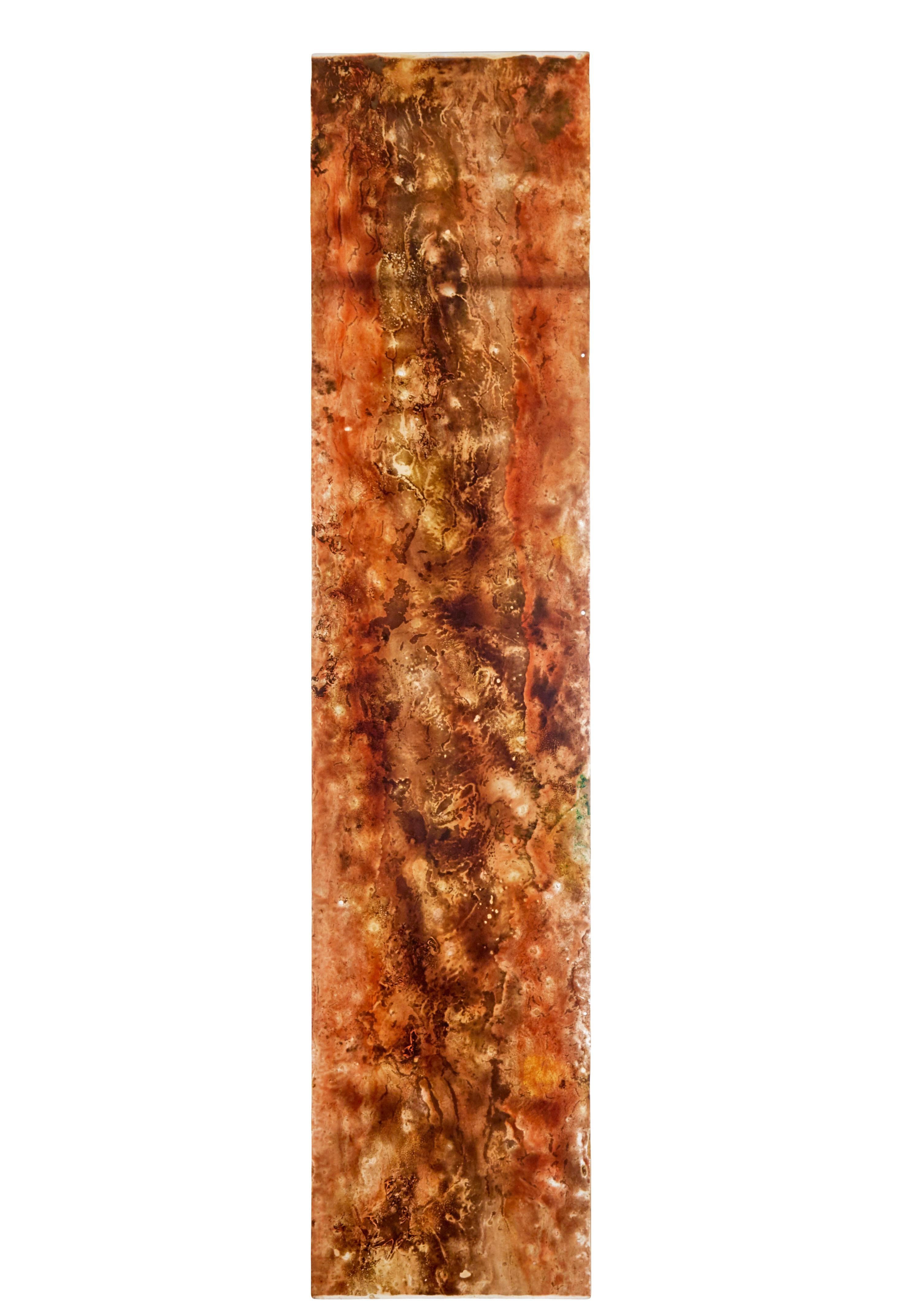 Einzelne französische abstrakte Acryltafel aus den 1950er Jahren.

Die Leinwand ist in Braun-, Orange-, Gelb- und Grüntönen gehalten und an einigen Stellen mit Blattgold verziert. Es wurde mit Frontlicht, Frontlicht mit schwarzem Hintergrund und