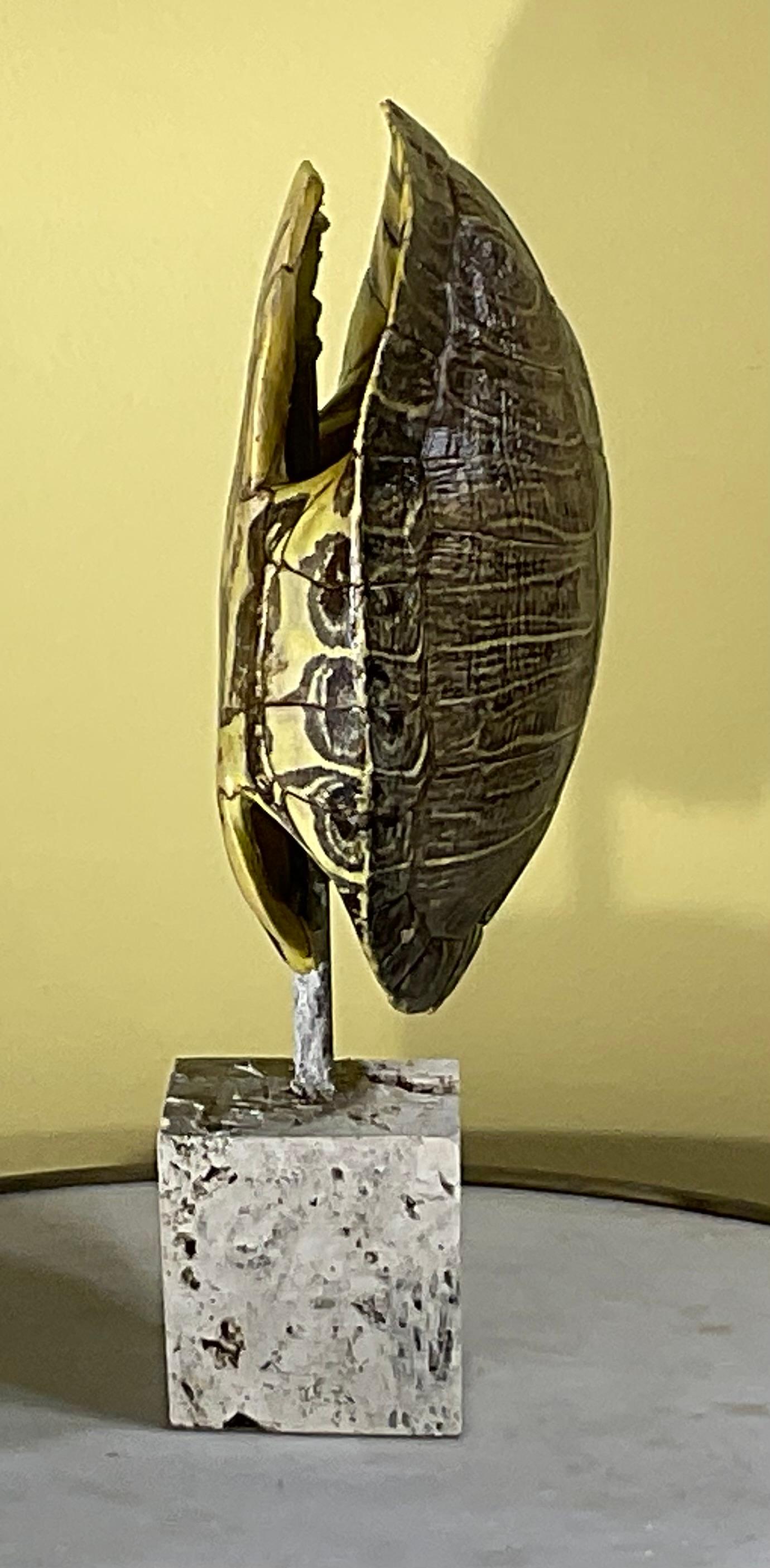 Écaille de tortue d'eau douce américaine authentique Bon état - En vente à Delray Beach, FL