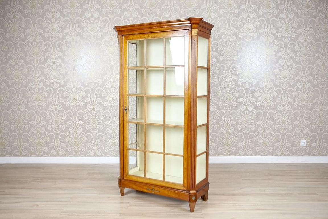 European Single-Leaf Beech Display Cabinet From the Mid. 20th Century For Sale