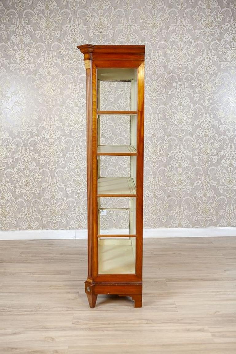 Brass Single-Leaf Beech Display Cabinet From the Mid. 20th Century For Sale