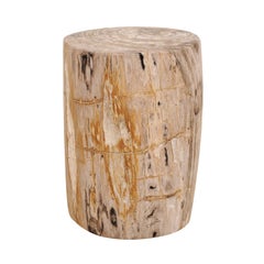 Single Petrified Wood Drinks Table 'or Stool', Light Colored