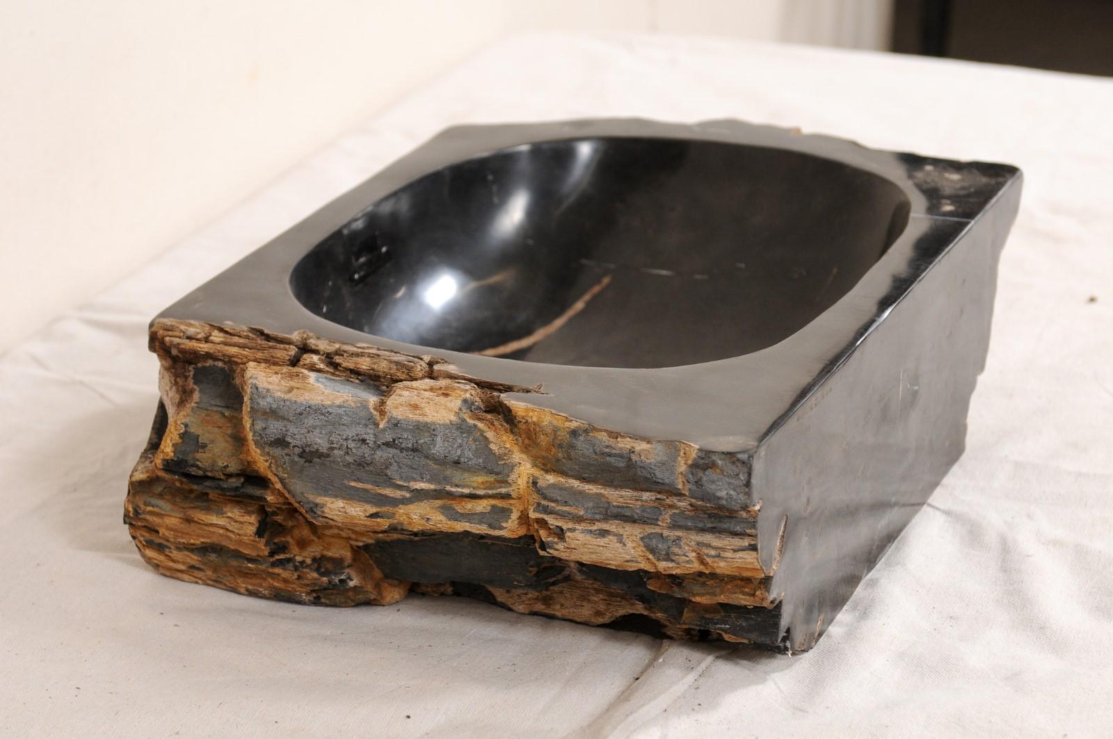 Contemporary Single Polished Black Petrified Wood Sink