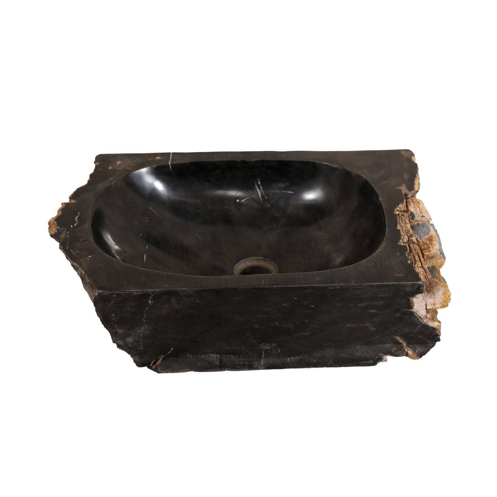 Single Polished Black Petrified Wood Sink