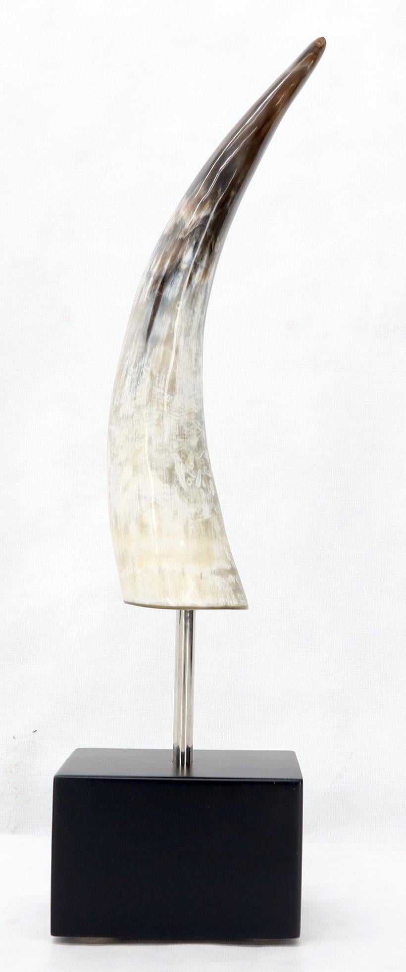 Mid-Century Modern decor beautiful looking high luster polished finish bull horn sculpture.