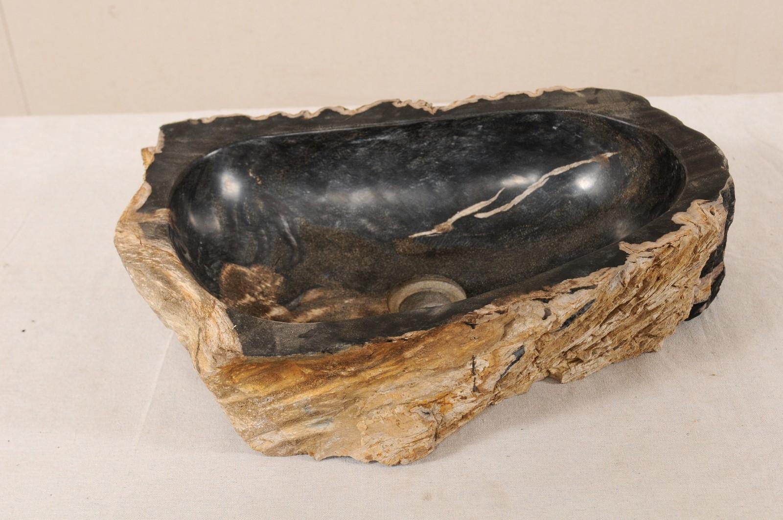 Single Polished Petrified Wood Sink in Tan, Black and Brown Colors 1