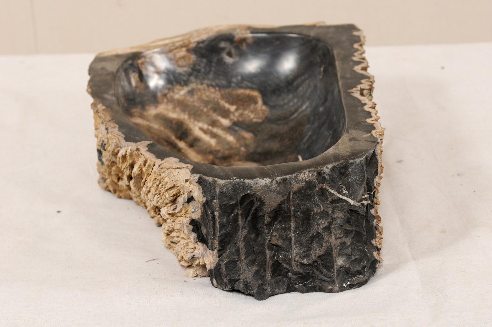 Single Polished Petrified Wood Sink in Tan, Black and Brown Colors 2