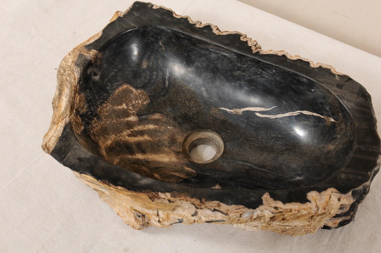 Single Polished Petrified Wood Sink in Tan, Black and Brown Colors 3