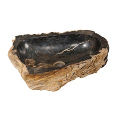 Single Polished Petrified Wood Sink in Tan, Black and Brown Colors