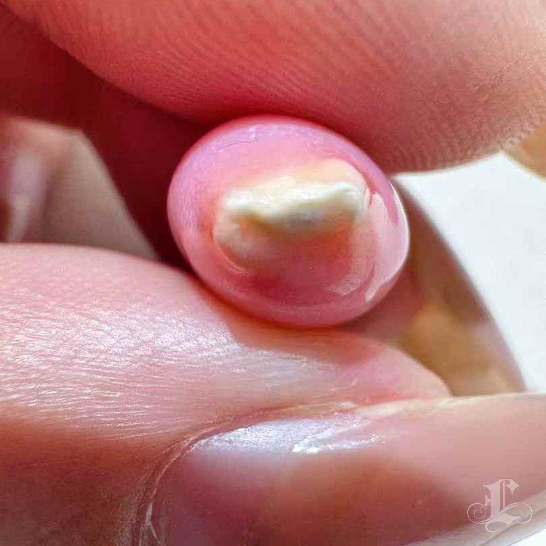 Perla Concha Llama Flamingo ÚNICA RARA 8.42ct 2