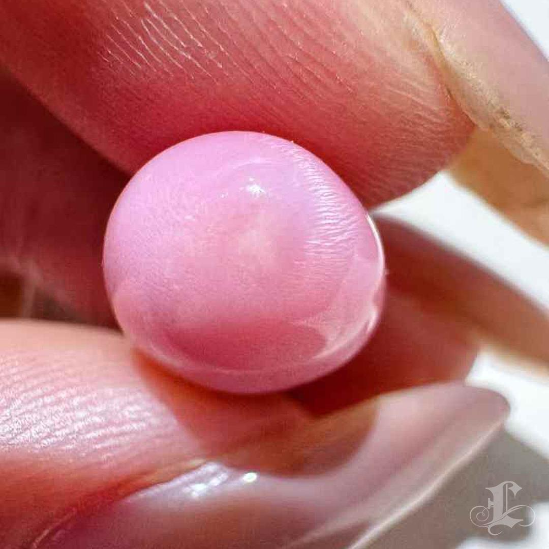 Perla Concha Llama Flamingo ÚNICA RARA 8.42ct 3