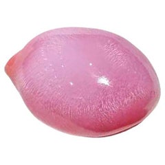 SINGLE RARE 8.42ct Flamingo Flame Conch Pearl