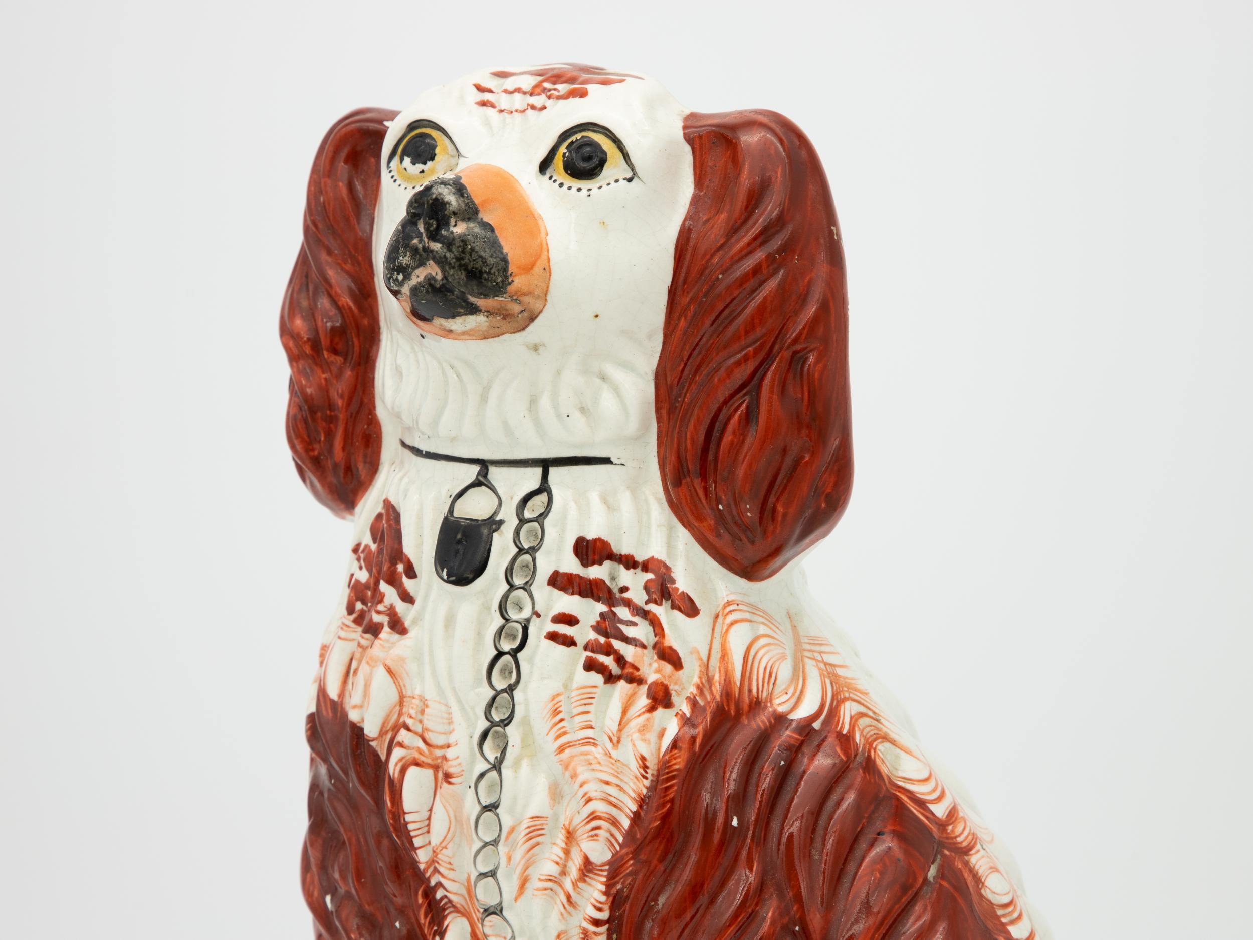 British Single Staffordshire Dog For Sale