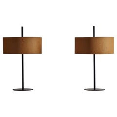 Vintage Single Table Lamp by Ostuni & Forti for Oluce