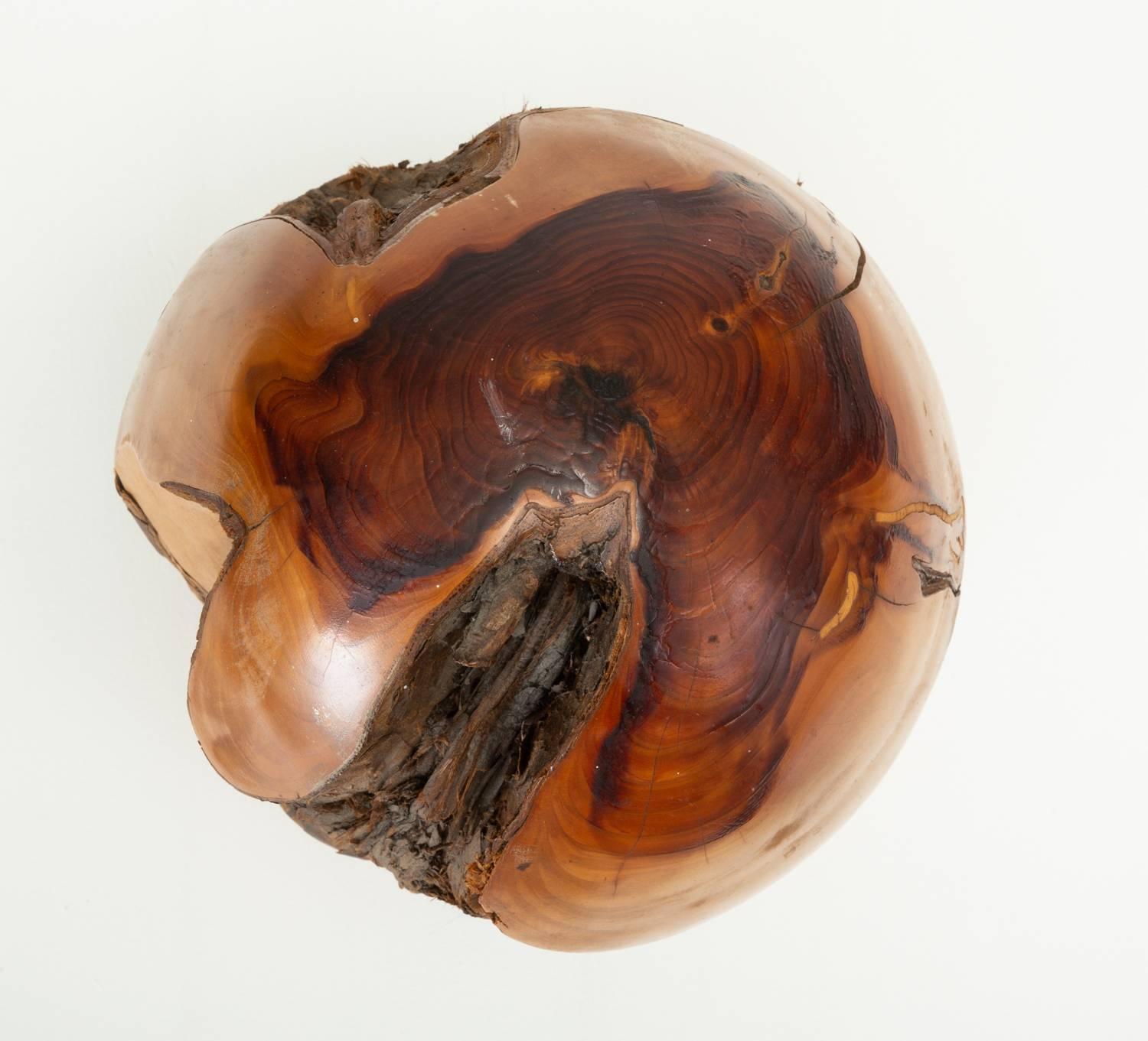 Burl Single Turned Wood Object by Chuck McLaughlin