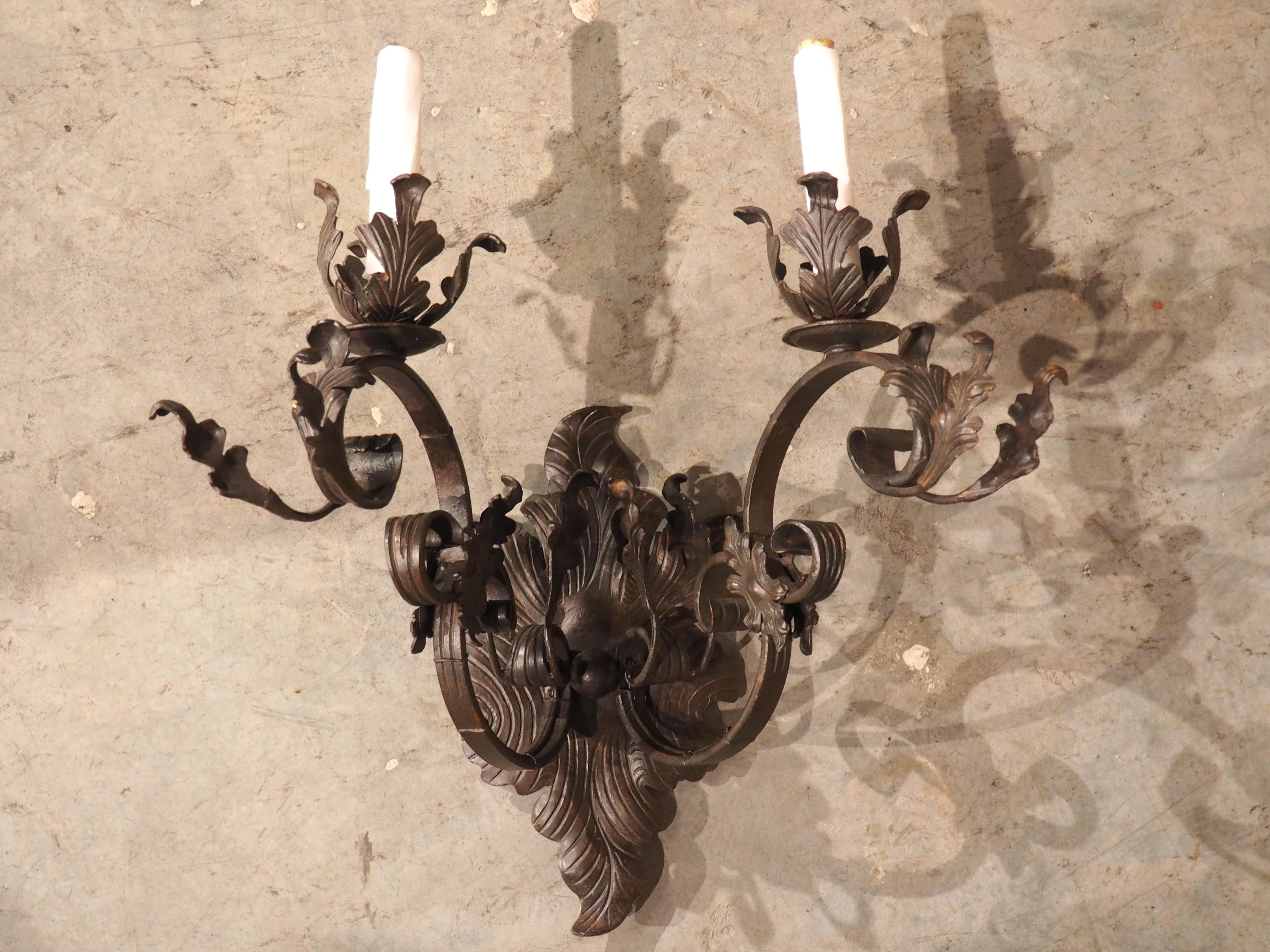 Contemporary Single Wrought Iron Wall Sconce with Foliate Ornamentation For Sale