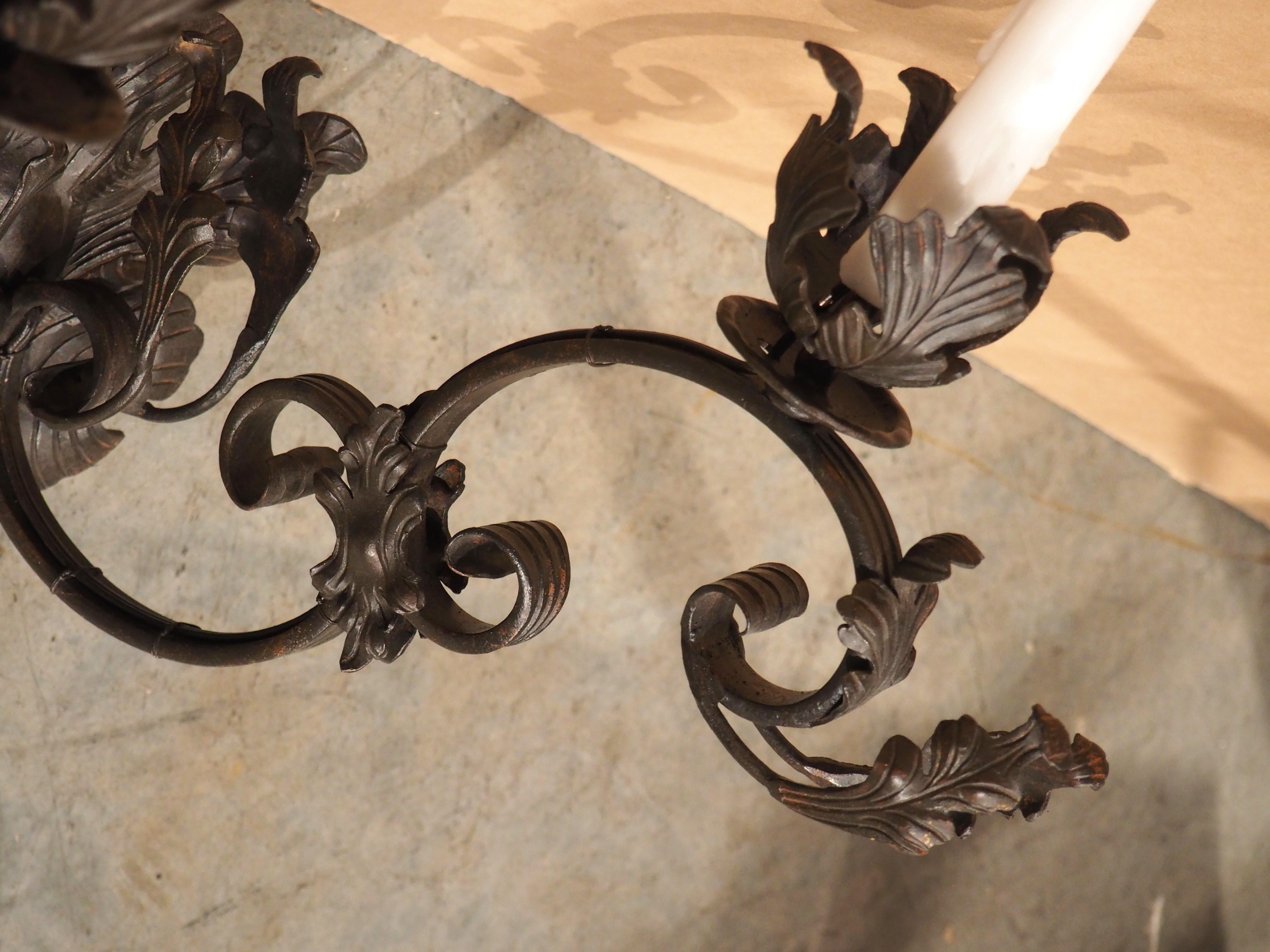 Single Wrought Iron Wall Sconce with Foliate Ornamentation For Sale 3
