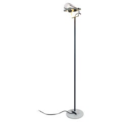 Sintesi Terra Floor Lamp by Ernesto Gismondi for Artemide, 1970s