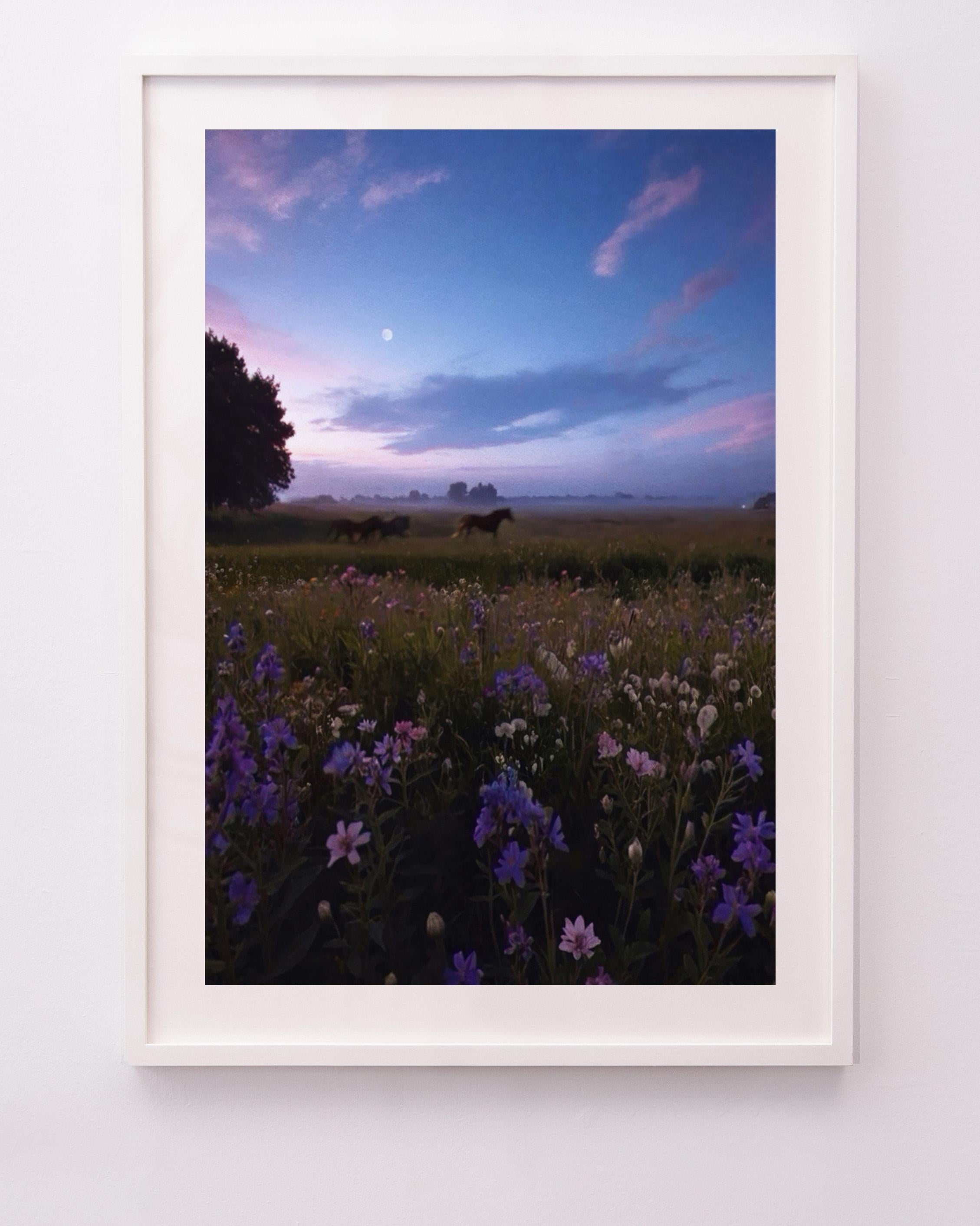 Libertad - Print de Siobhan O'Dwyer