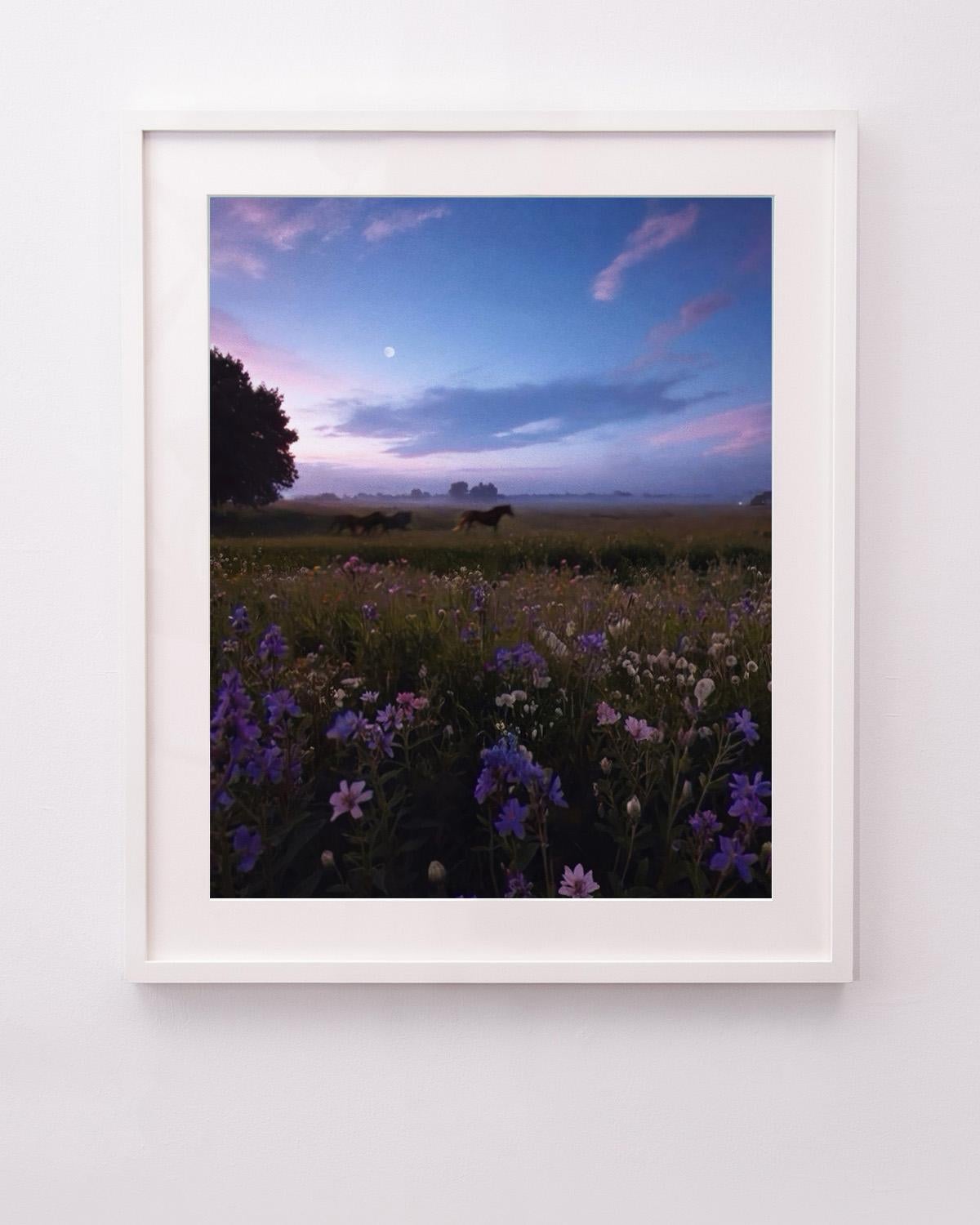 Freedom - Print by Siobhan O'Dwyer