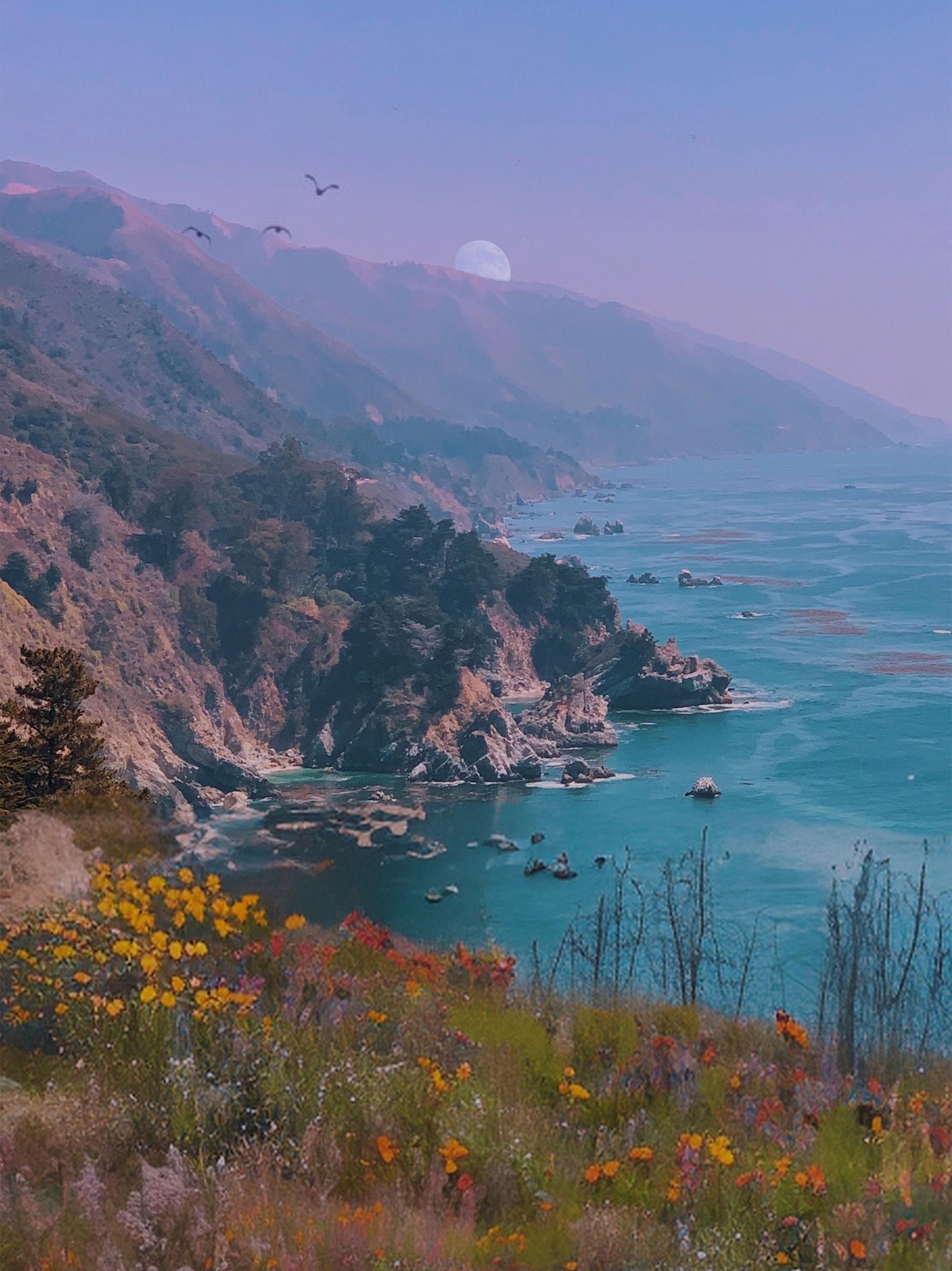 Siobhan O'Dwyer Abstract Print - Mermaid Twilight