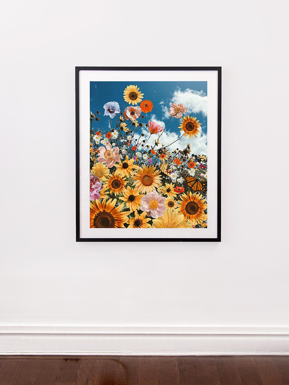 Sunflower Heaven - Print by Siobhan O'Dwyer