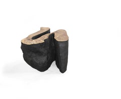 SIP01 Wood Sculpture by Robin Berrewaerts