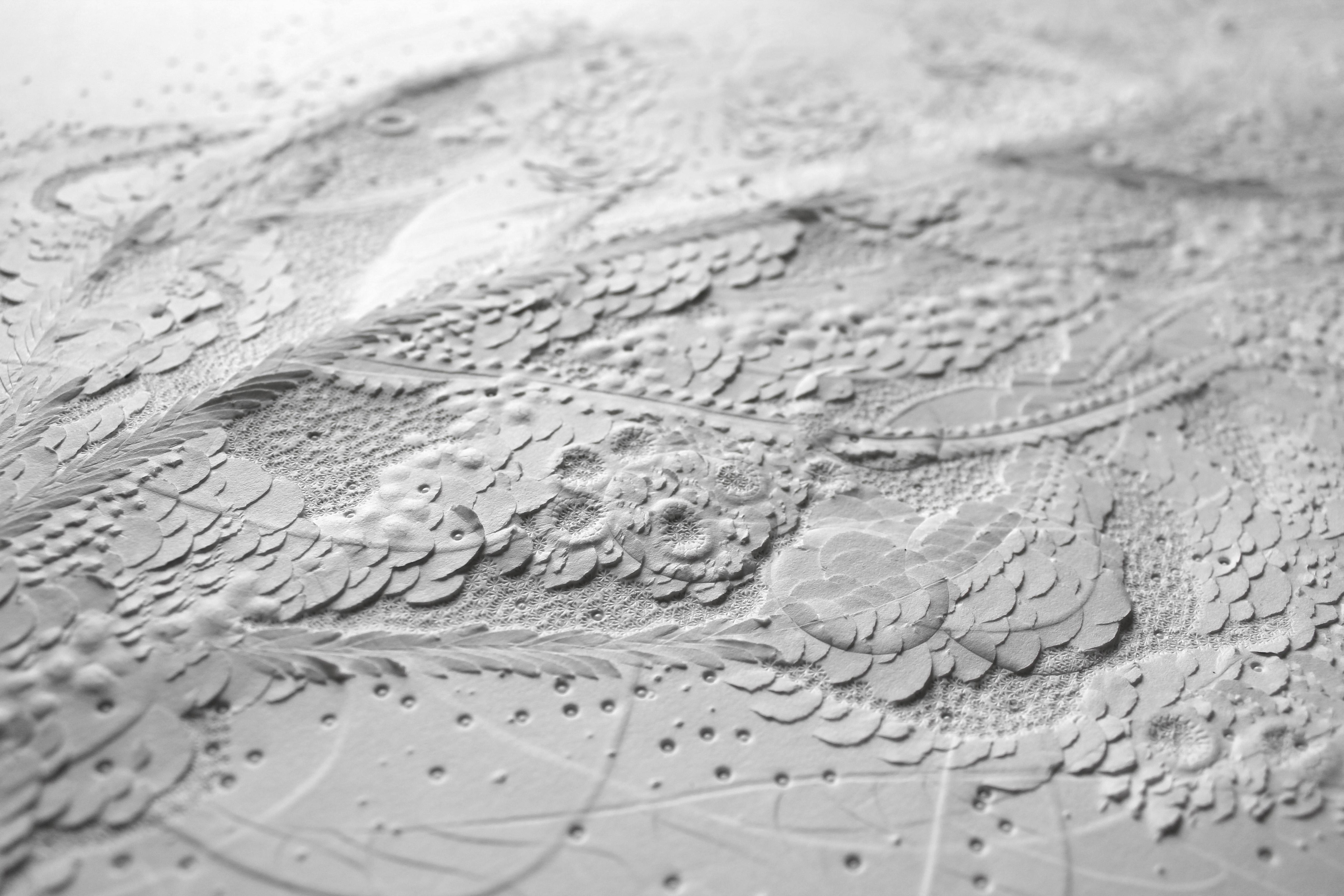 Siphonophore Géant II est réalisé par l'artiste Anne Charlotte Saliba en 2020. Il est réalisé par une technique de sculpture à l'aiguille sur papier. 
Plongez dans les abysses à mille mètres de profondeur et faites une rencontre des plus étonnantes