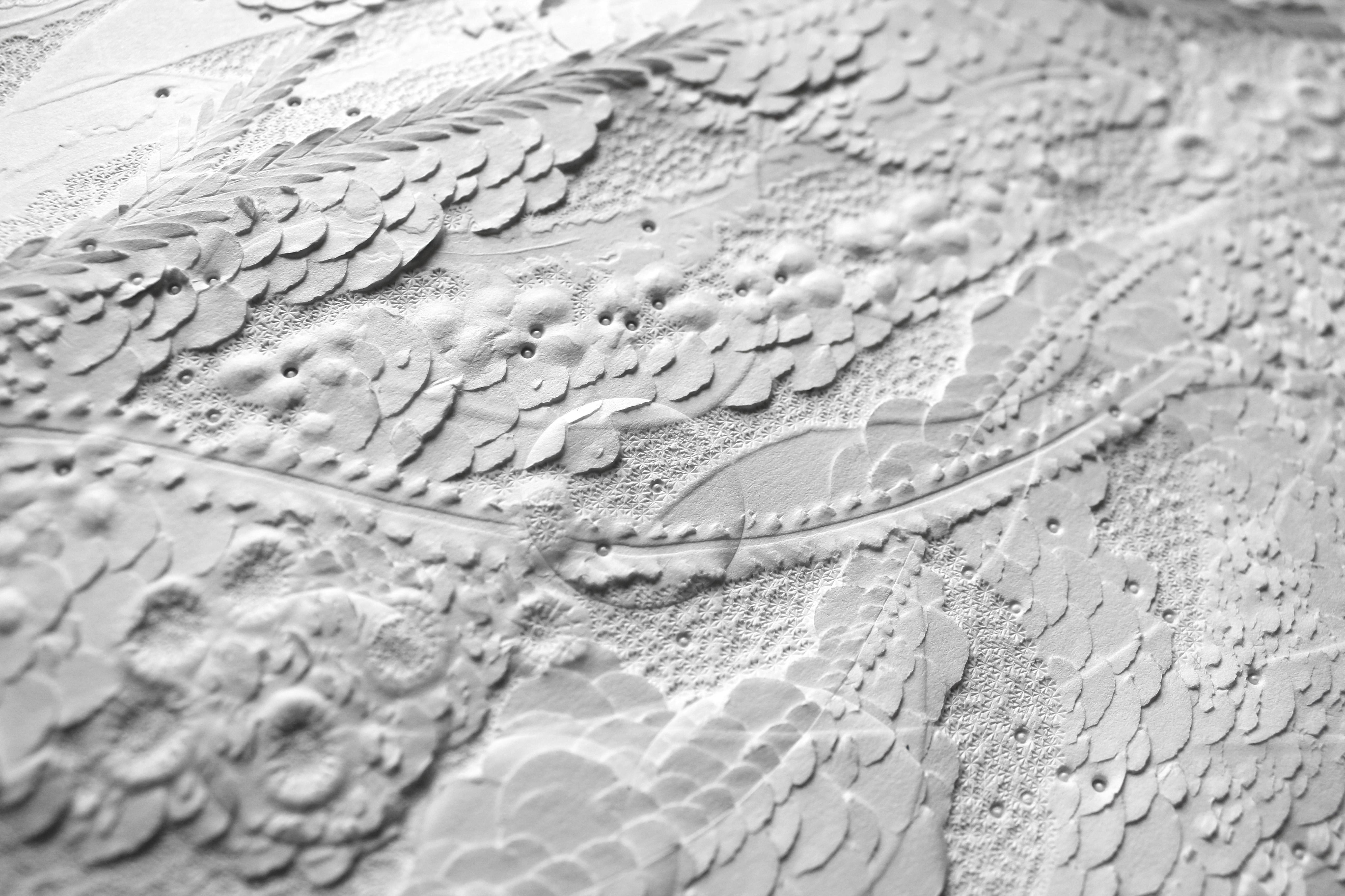 Européen Siphonophore Géant II