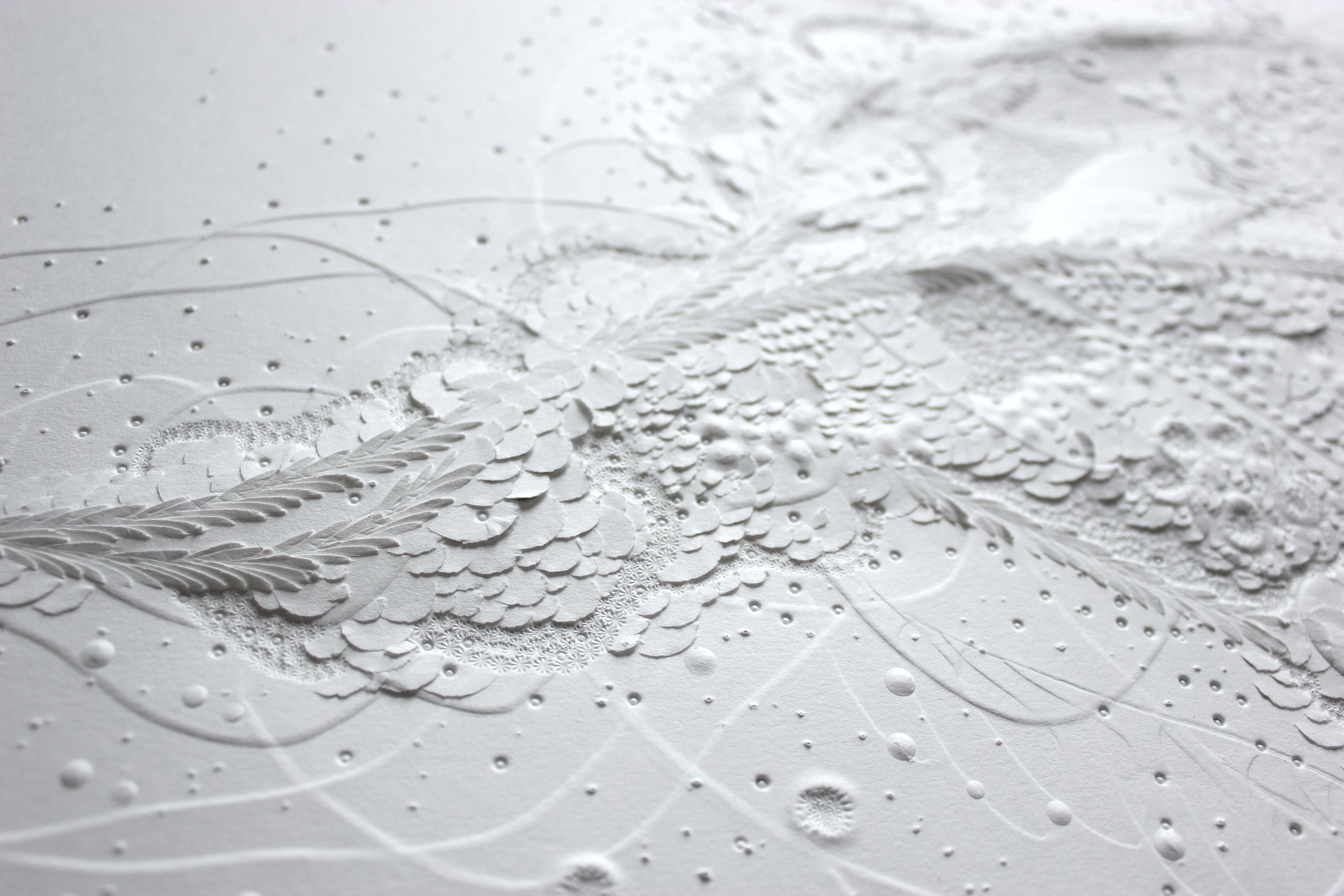 Papier Siphonophore Géant II