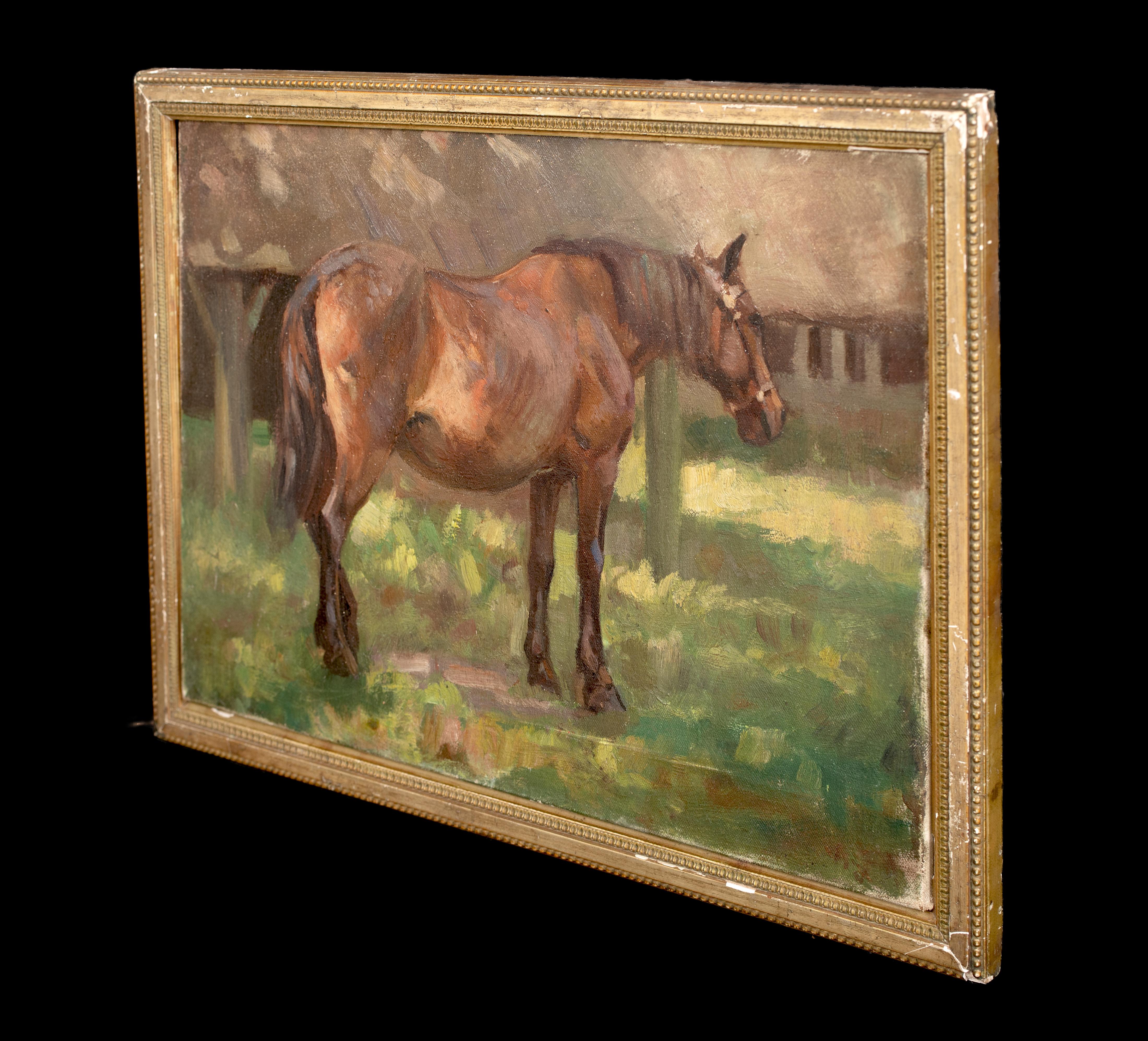 Croquis d'étude Cheval dans un pré, vers 1930  ALFRED JAMES MUNNINGS (1878-1959) 3