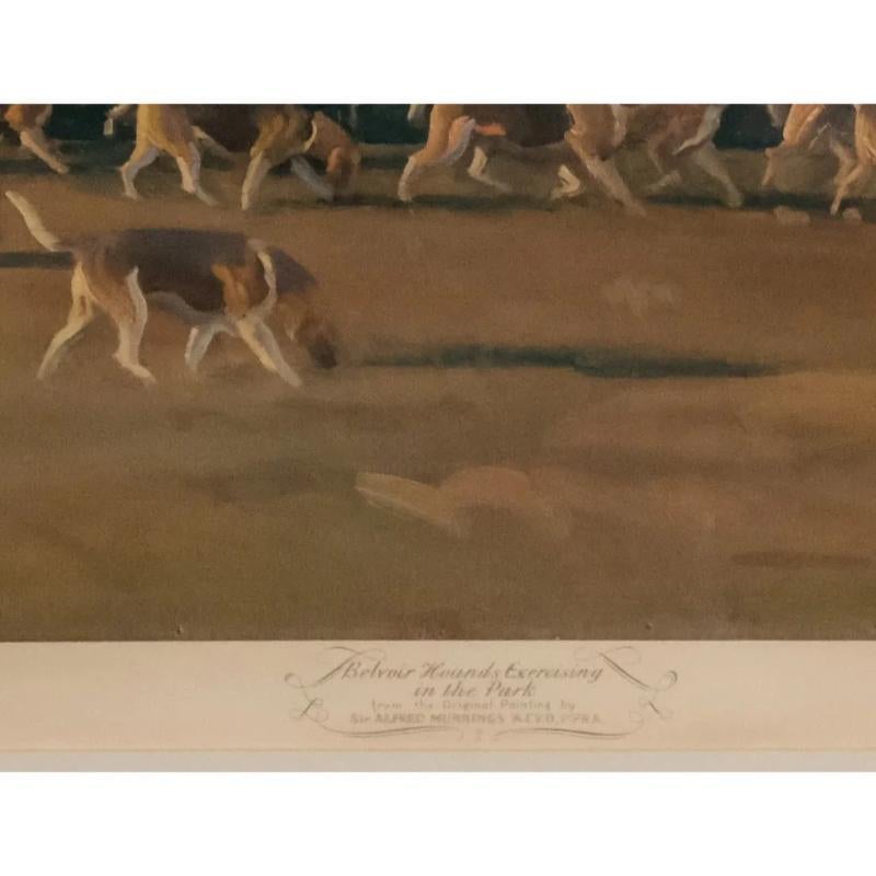 Sir Alfred Munnings Belvoir Hounds Exercising In The Park 1956 Chromolithograph For Sale 1