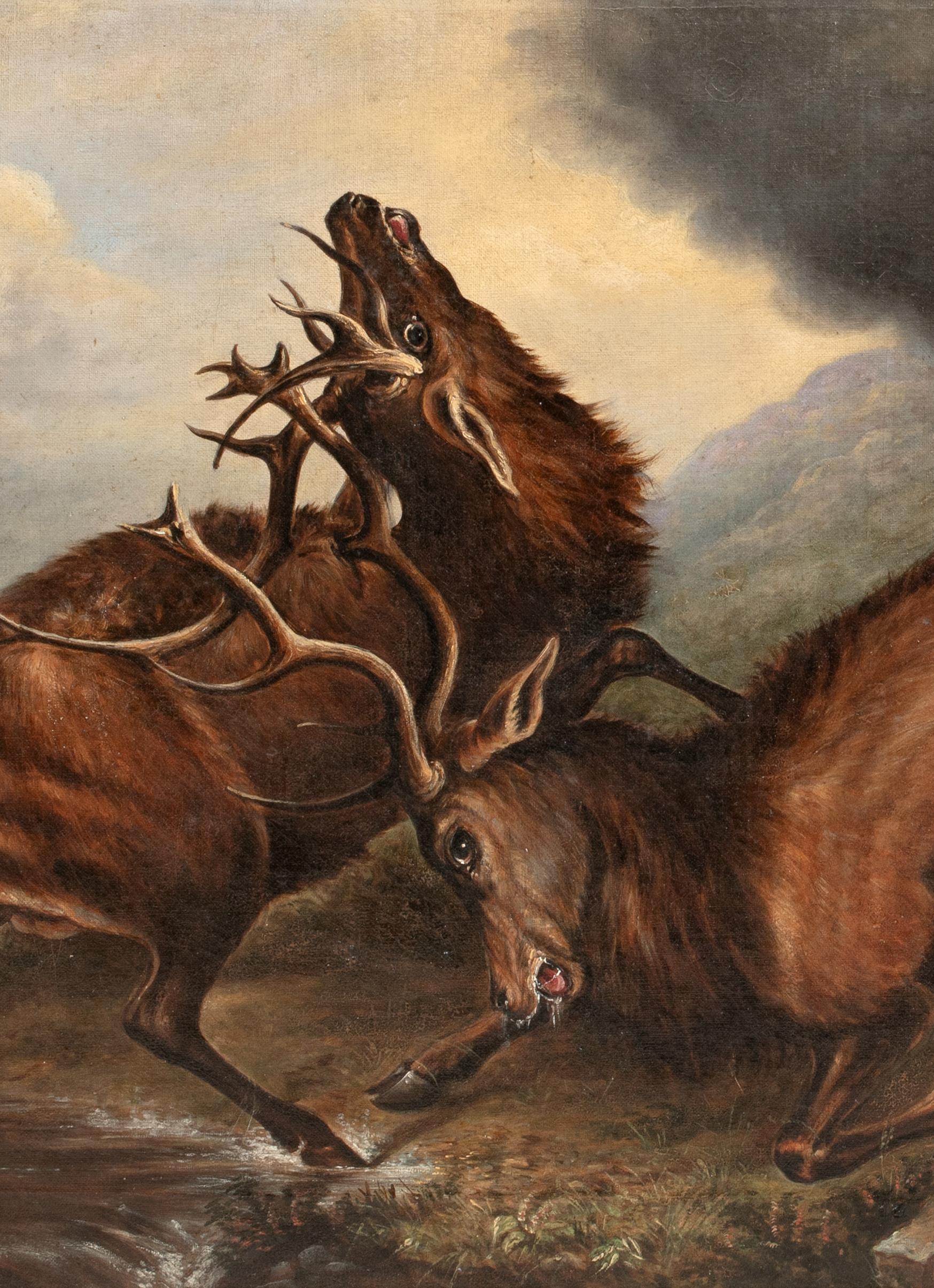 Battaglia dei Re, XIX secolo  Cerchio di Sir Edwin Landseer (1802-1873) 6
