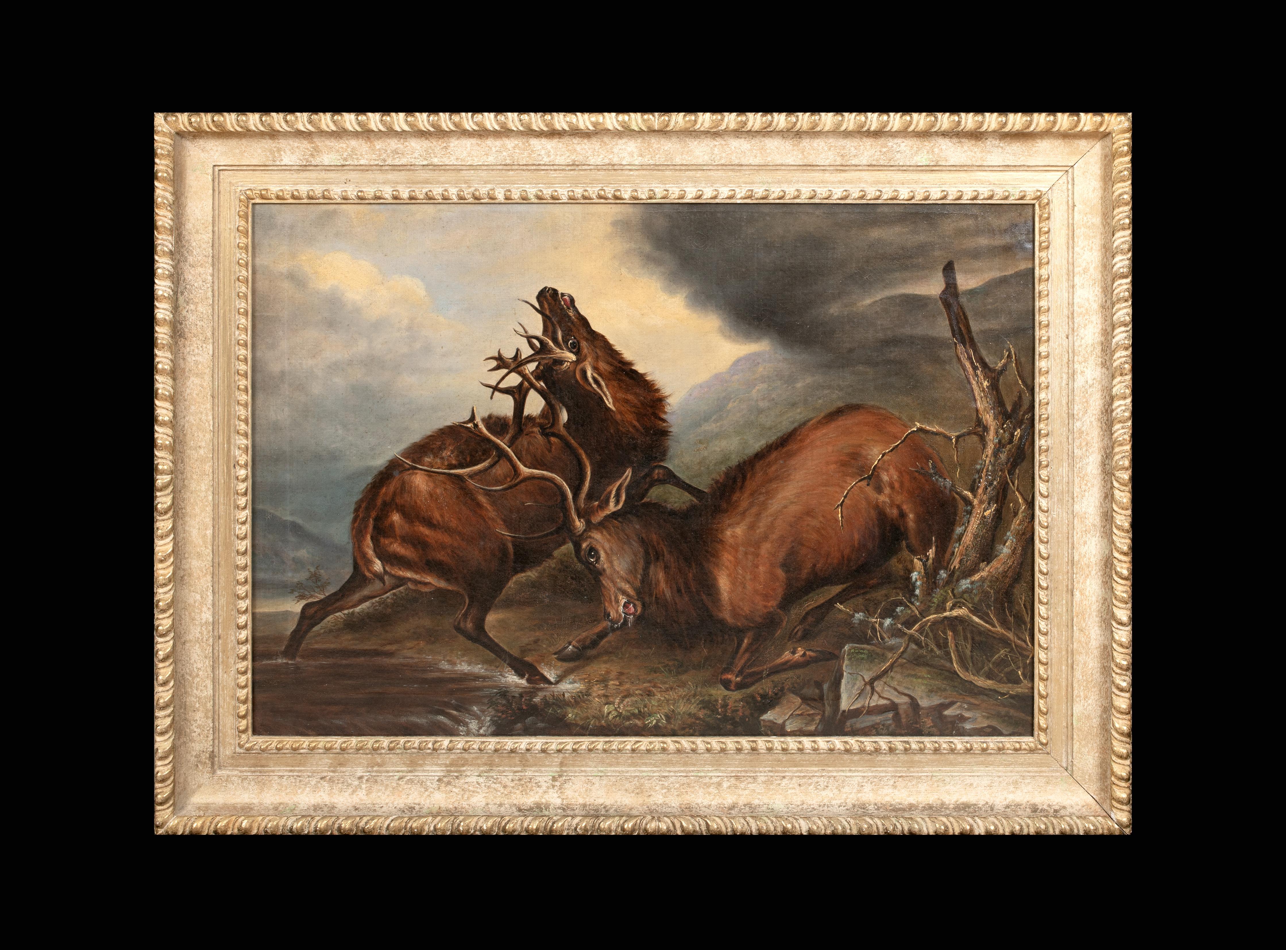 Battaglia dei Re, XIX secolo  Cerchio di Sir Edwin Landseer (1802-1873) - Painting di Sir Edwin Henry Landseer