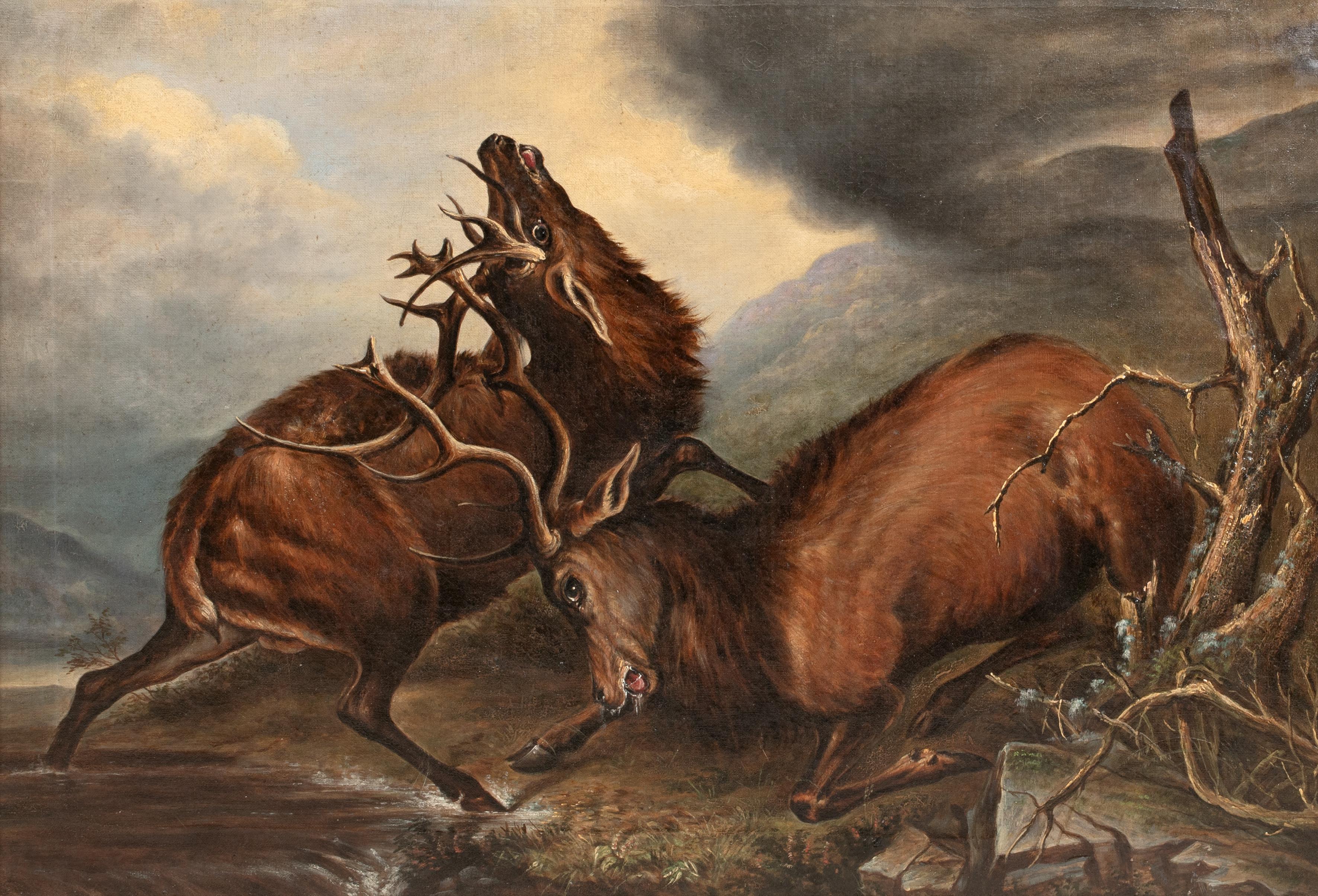 Battaglia dei Re, XIX secolo  Cerchio di Sir Edwin Landseer (1802-1873) - Animal Painting Marrone di Sir Edwin Henry Landseer