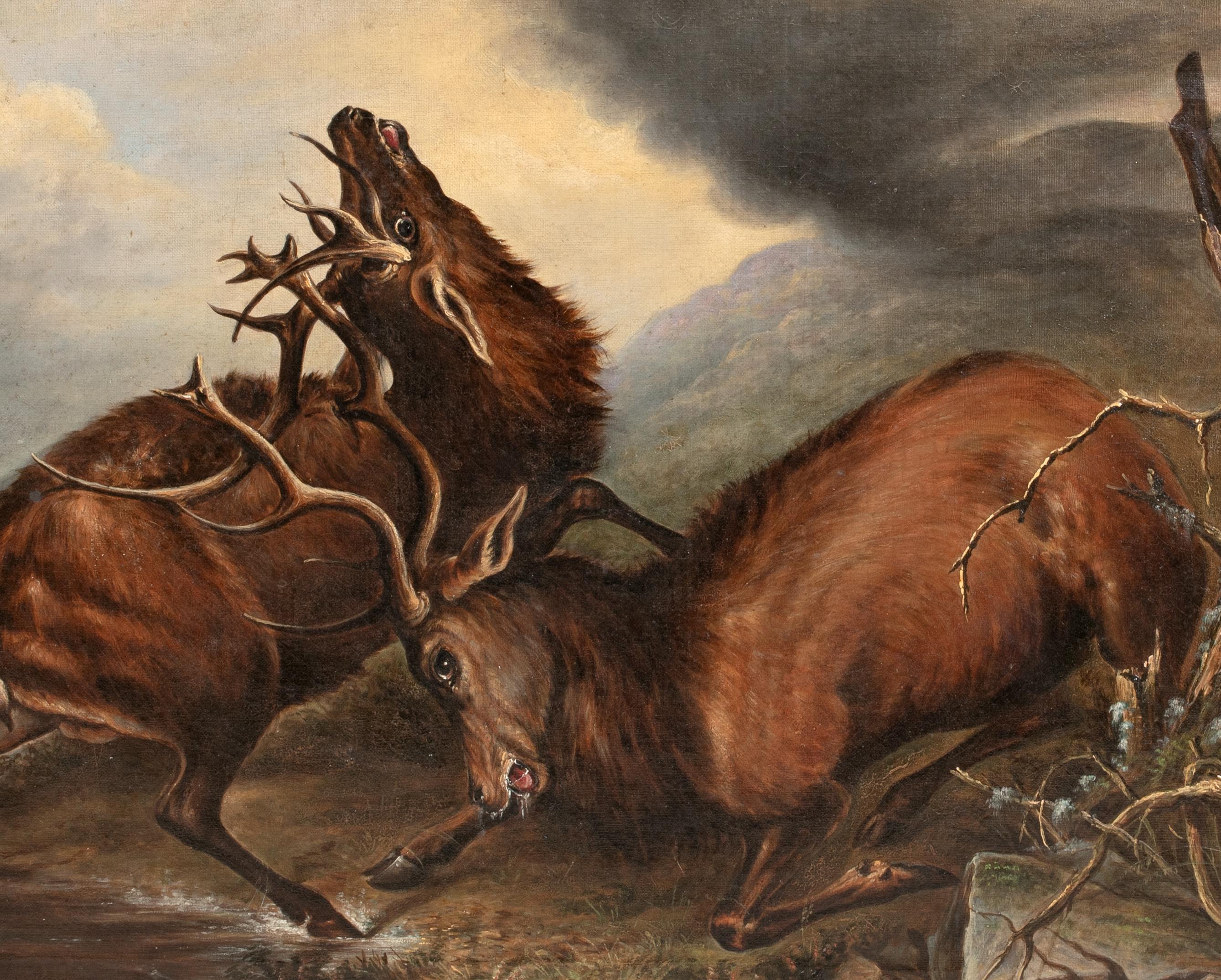 Battaglia dei Re, XIX secolo  Cerchio di Sir Edwin Landseer (1802-1873) 1