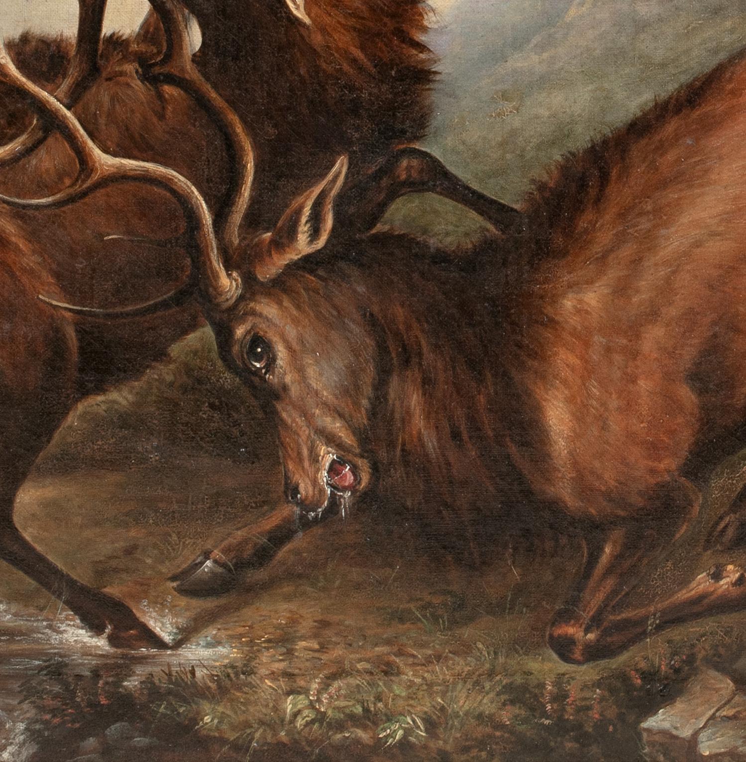 Battaglia dei Re, XIX secolo  Cerchio di Sir Edwin Landseer (1802-1873) 2