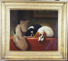 Oil Animal Paintings