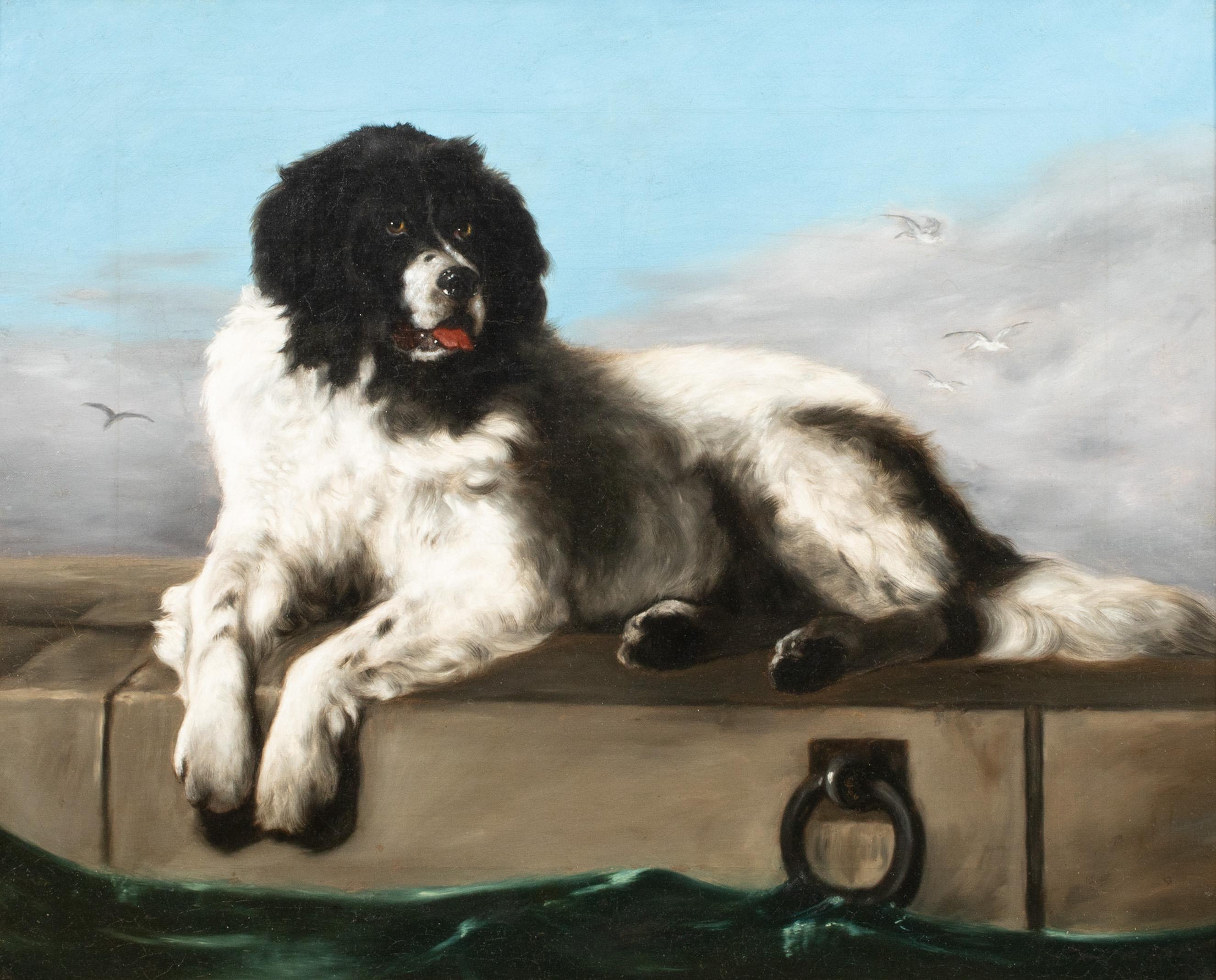 Portrait Of A Newfoundland, 19th Century - Painting by Sir Edwin Henry Landseer
