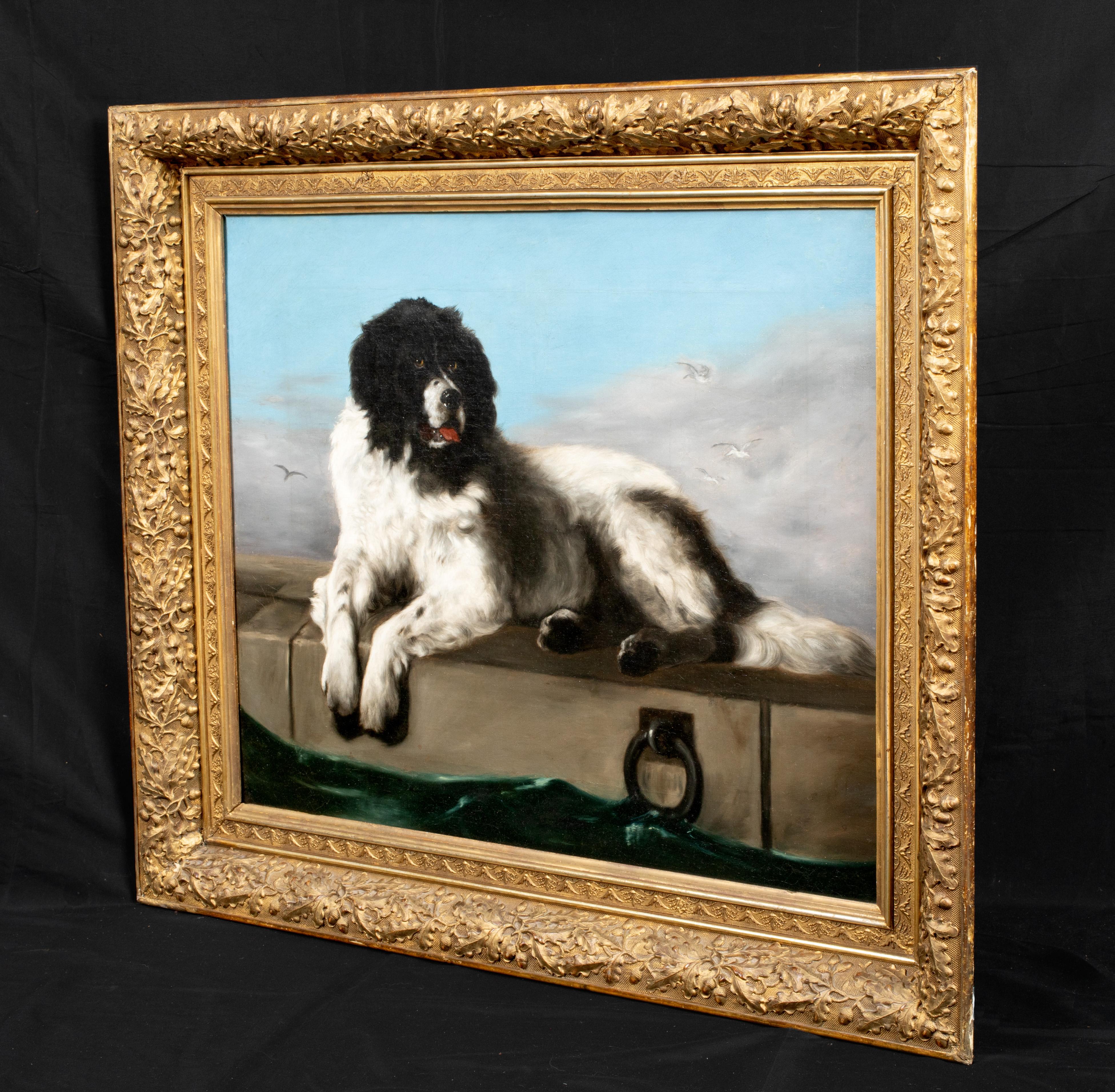 Portrait Of A Newfoundland, 19th Century - Brown Portrait Painting by Sir Edwin Henry Landseer