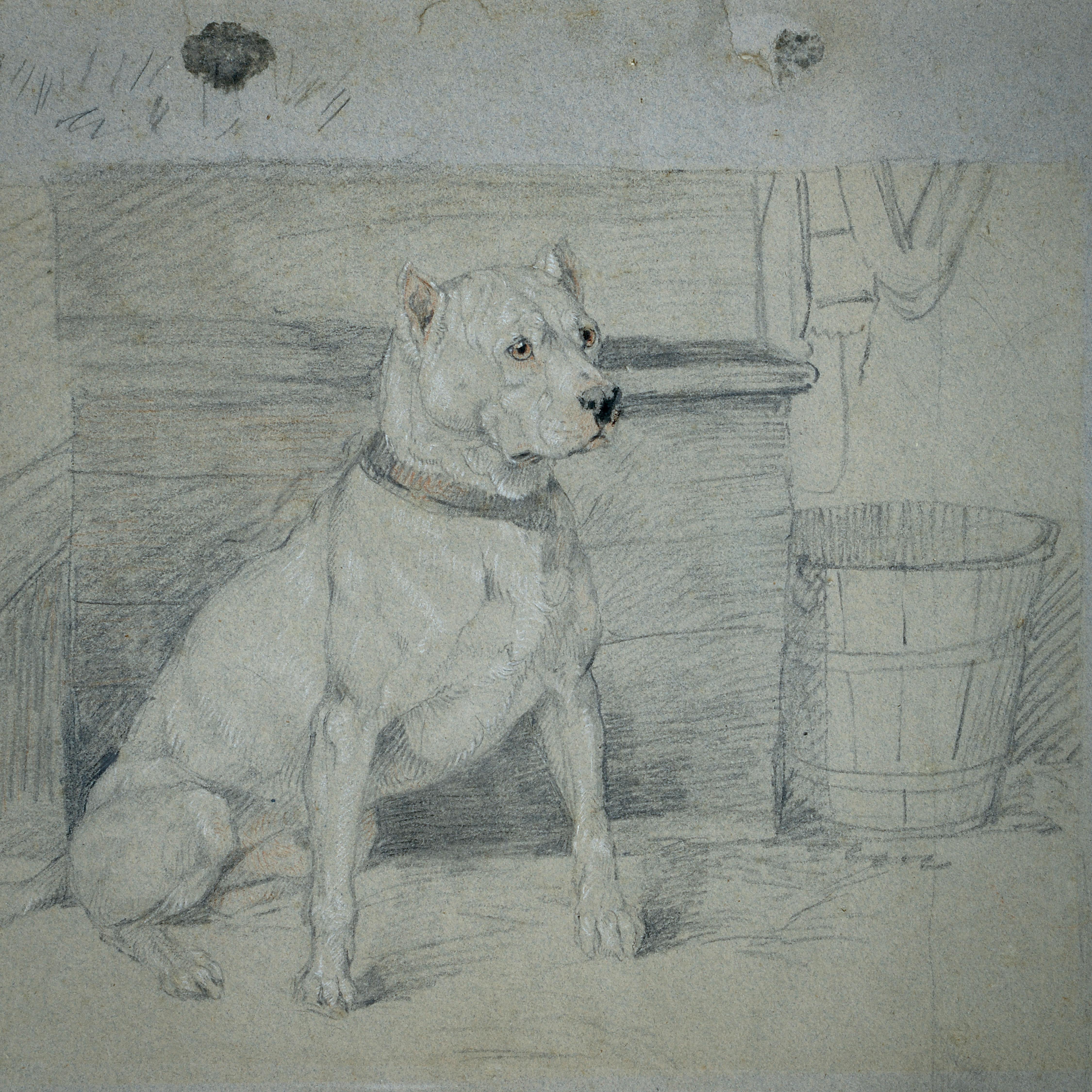 Sir Edwin Henry Landseer, R.A. 'Study of 'Brutus' In Good Condition In London, GB