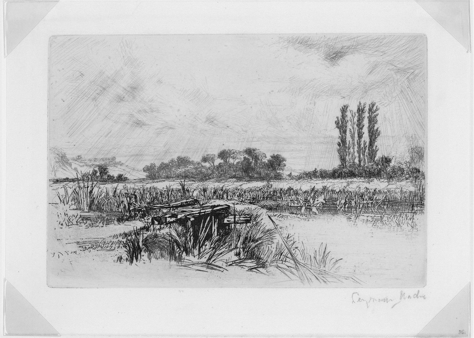 A Water Meadow. - Print by Sir Francis Seymour Haden, R.A.