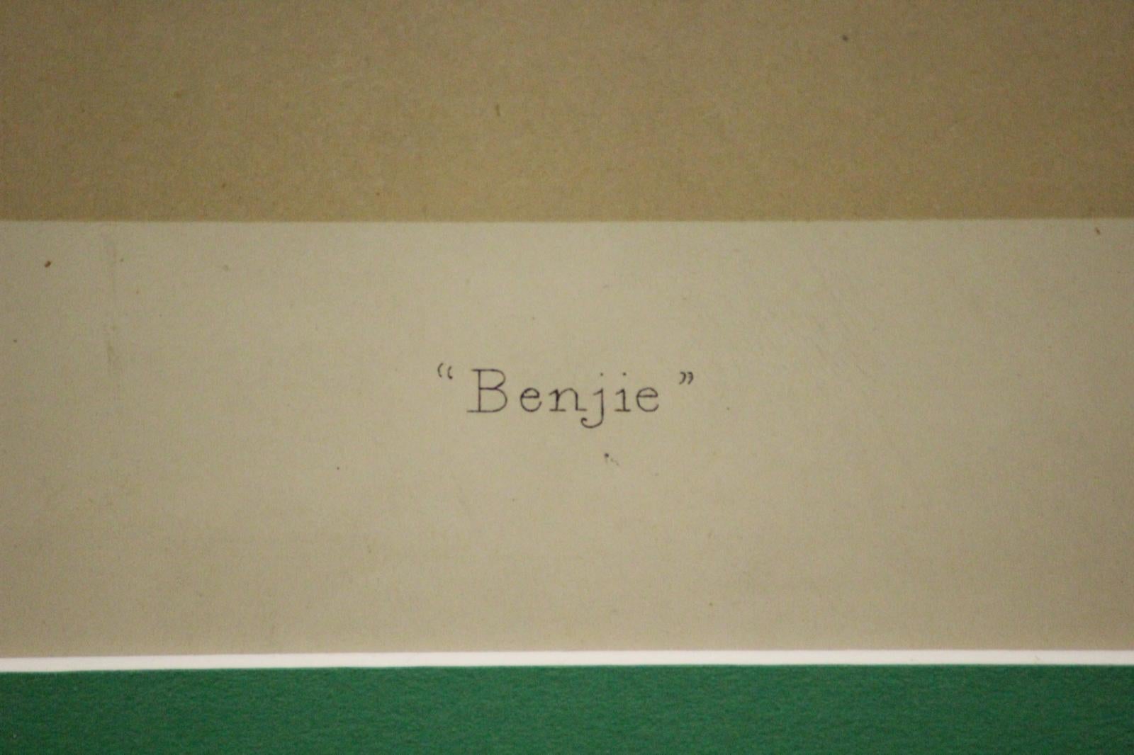 Benjie aka Hugh Benjamin Cotton For Sale 6