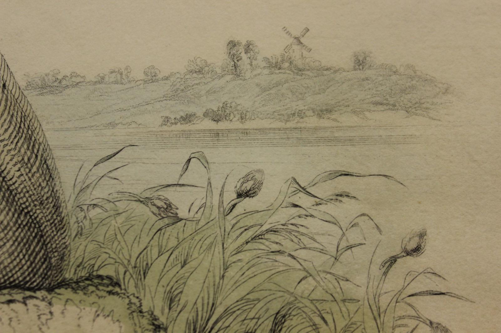 Classic angling colour plate No.10 by Sir William Jardine (1800-1874) depicting 'Sea Trout of the Solway'

Print Sz; 16 3/4