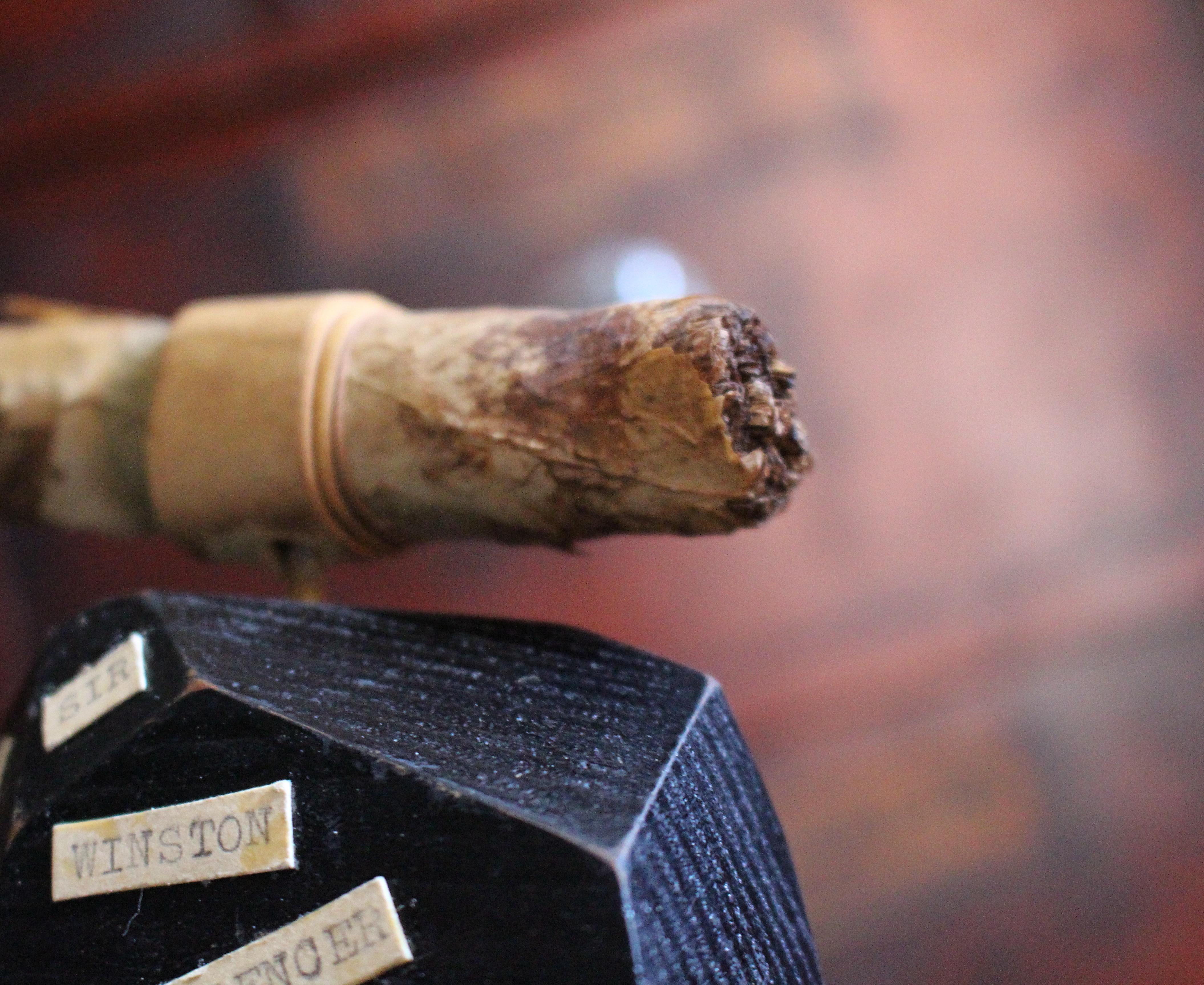 XX secolo Sir Winston Churchill masticava e fumava parzialmente un sigaro cubano Curiosità politica in vendita