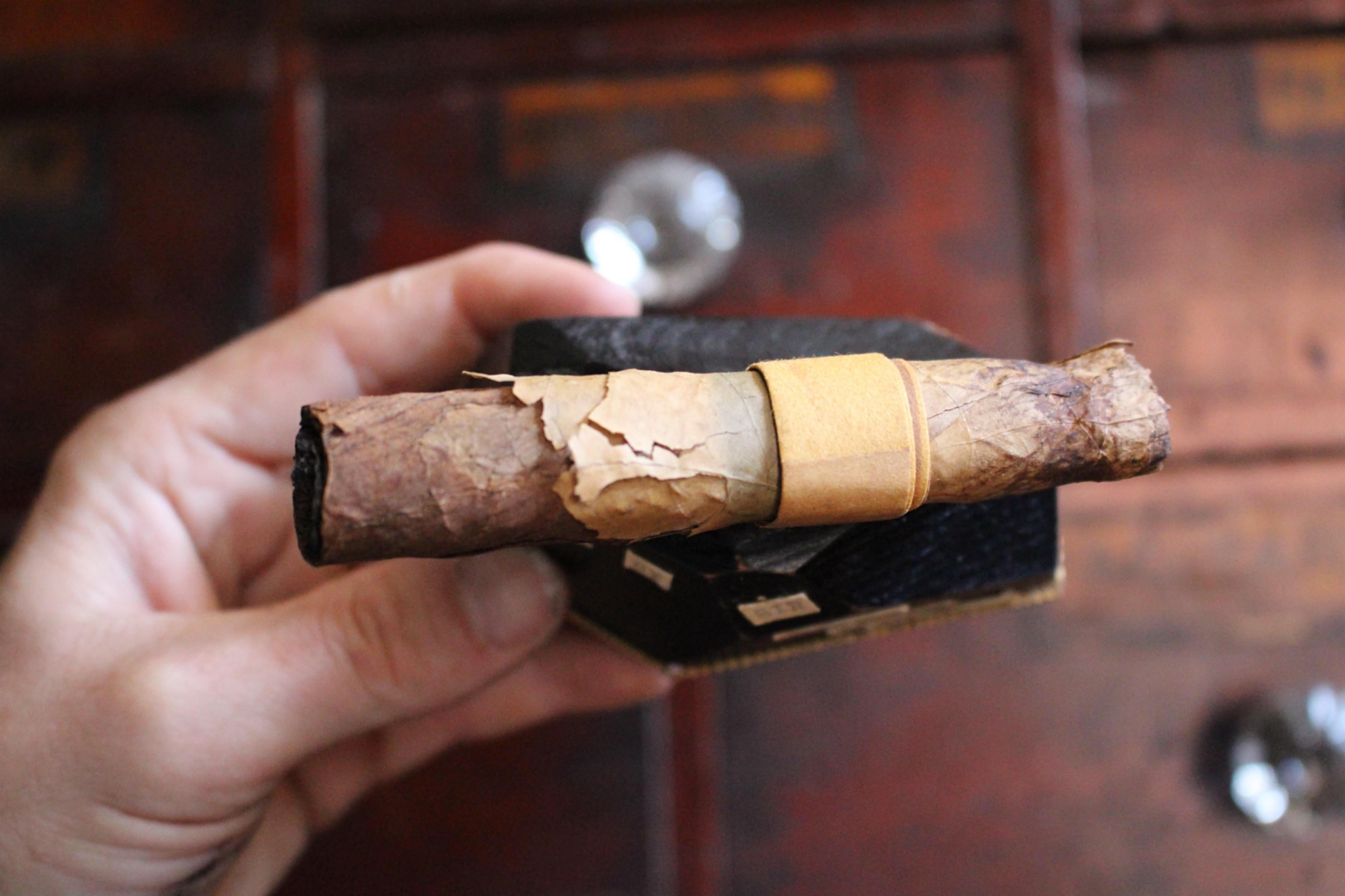 Fibra naturale Sir Winston Churchill masticava e fumava parzialmente un sigaro cubano Curiosità politica in vendita