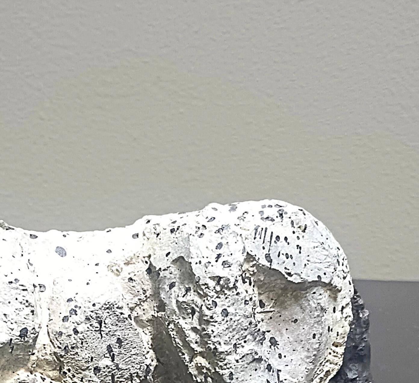 Perla 30/9 - Sculpture Contemporáneo de Siri Hollander