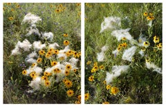 Fur Flowers