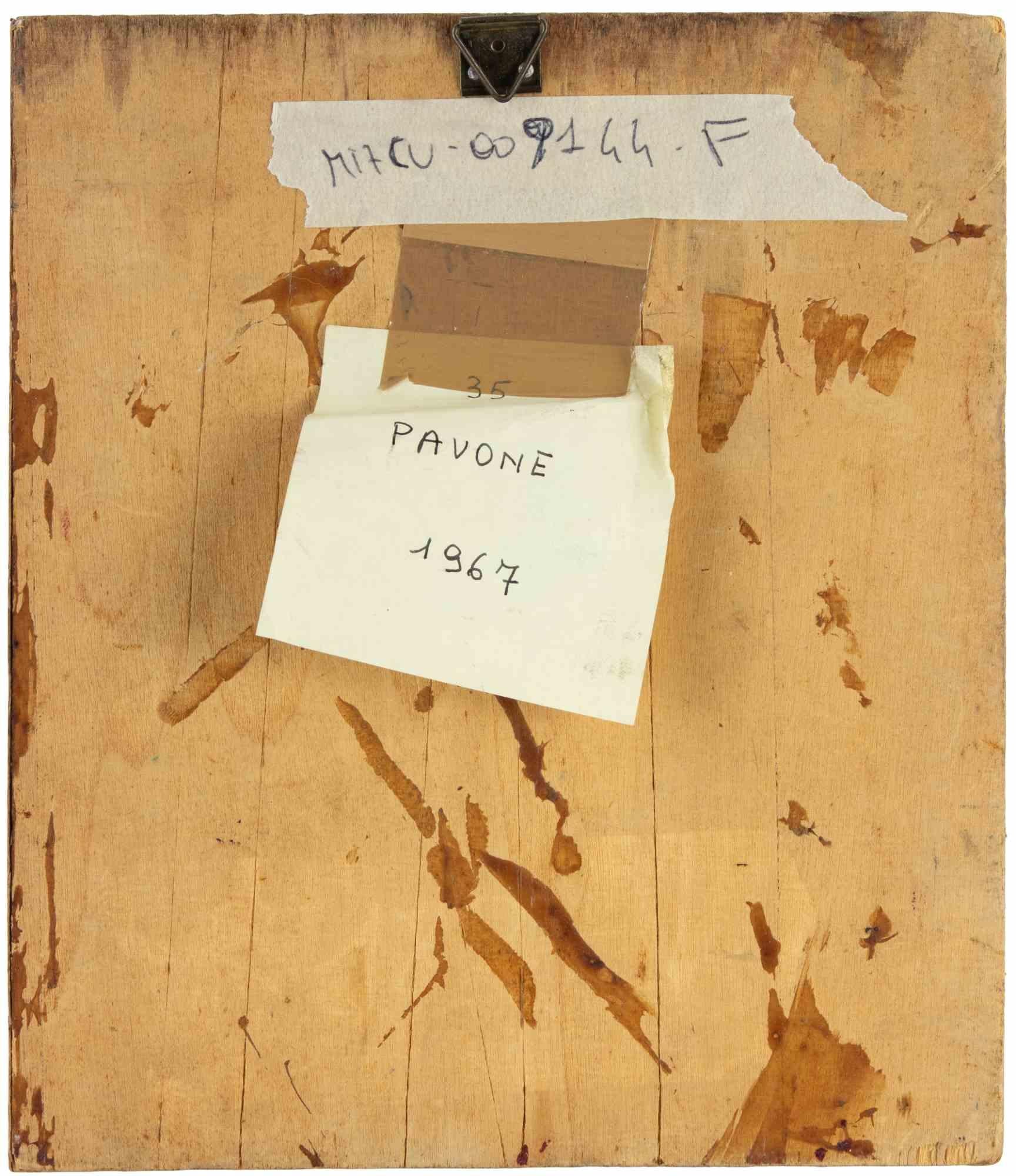 Peacock - Paint by Sirio Pellegrini - 1967 For Sale 3